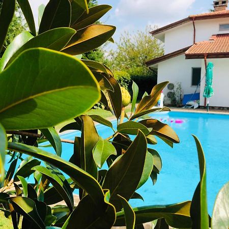 Villa Nymphea Water Lily Hisarya Dış mekan fotoğraf